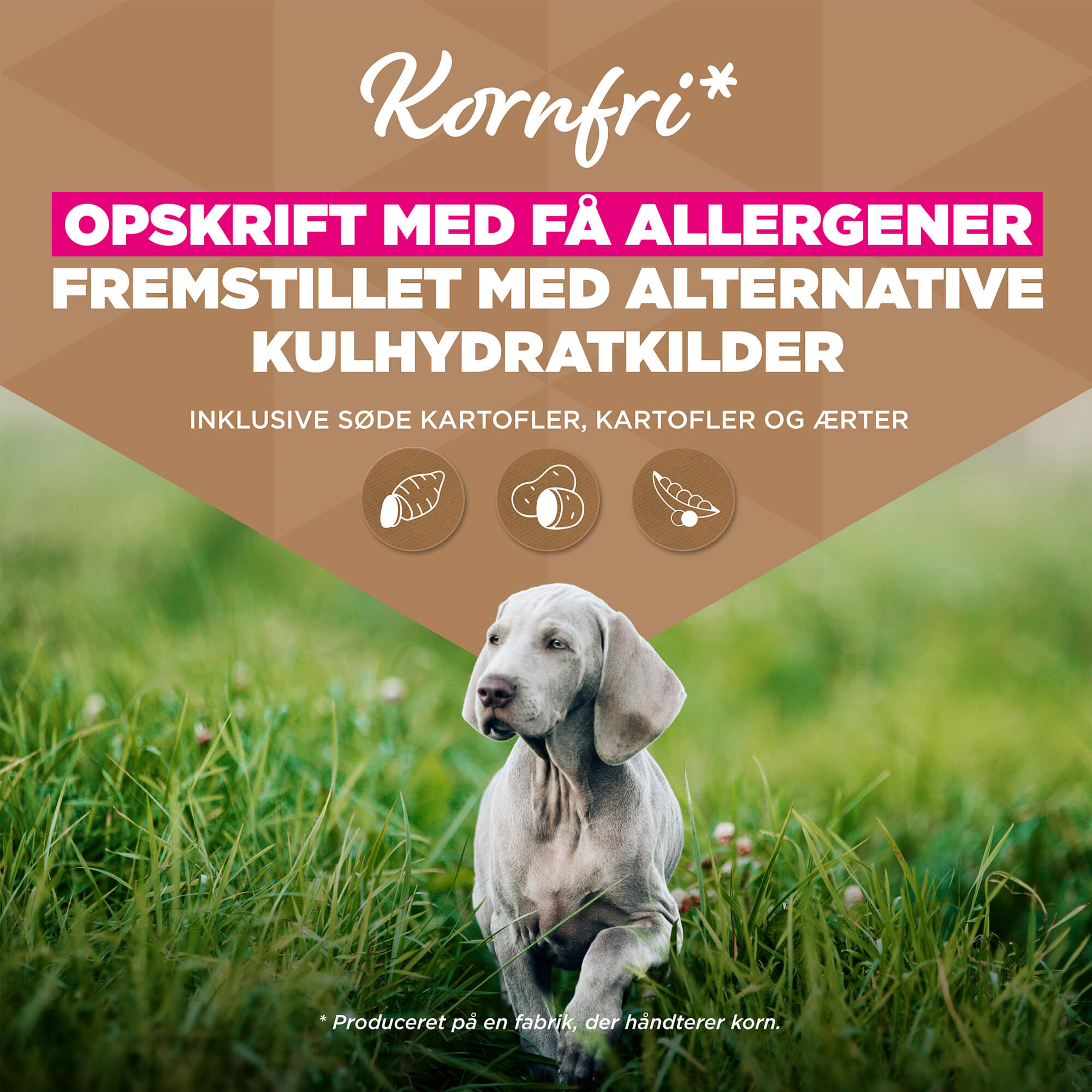 Eukanuba Dog Junior Large Grainfree Hundefoder