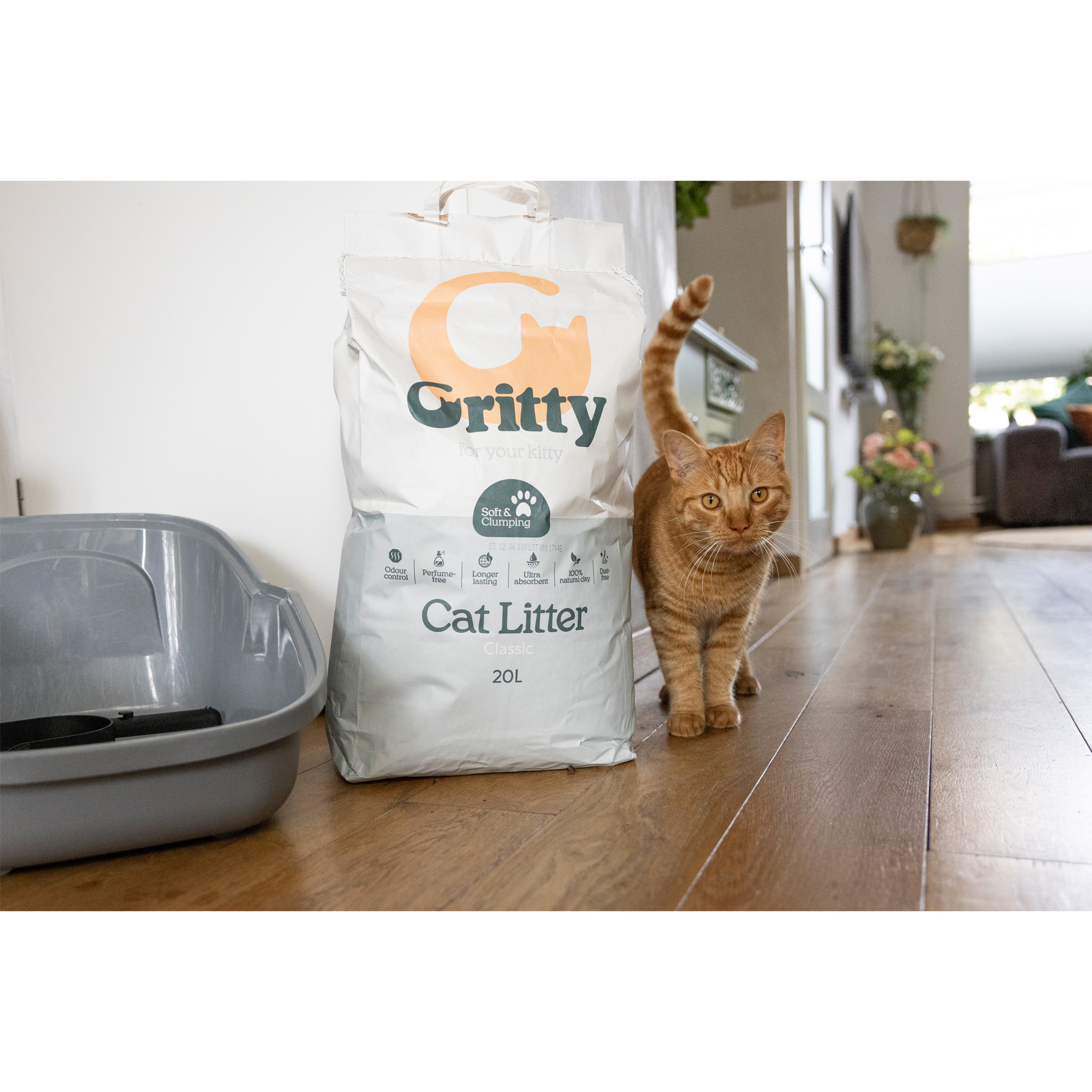 Kitter litter sales