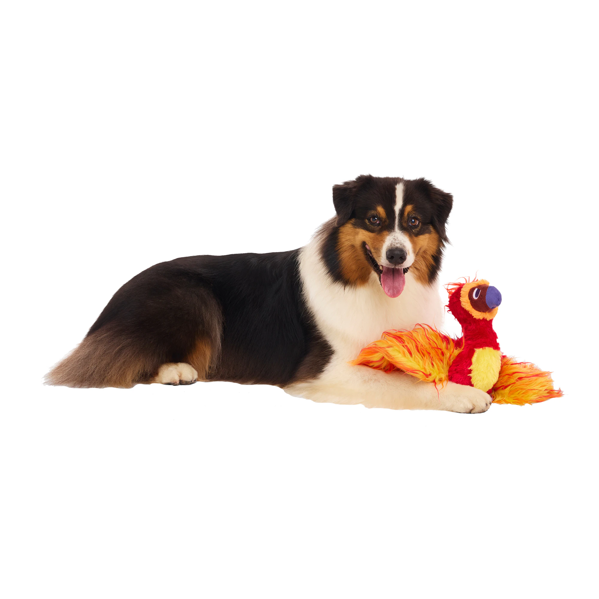 Bark Harry Potter Fawkes Cuddly Toy