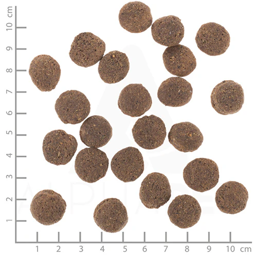 Wolfsblut VetLine Hypoallergenic - Hondenvoer