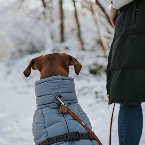 Hunter Manteau pour Chien Paxson