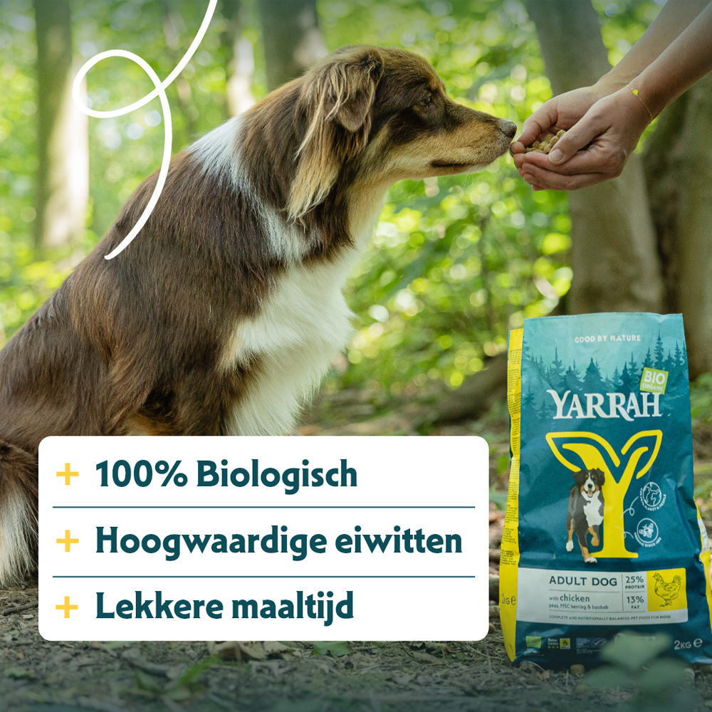 Yarrah - Droogvoer Hond met Kip Bio