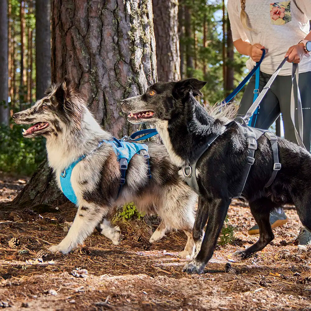 Hurtta Multilong Leash Eco