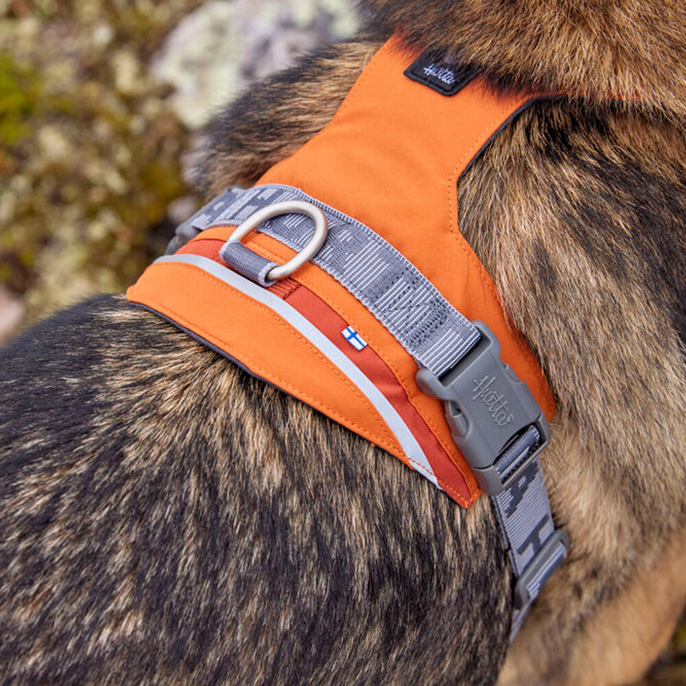 Hurtta Rover Harnas