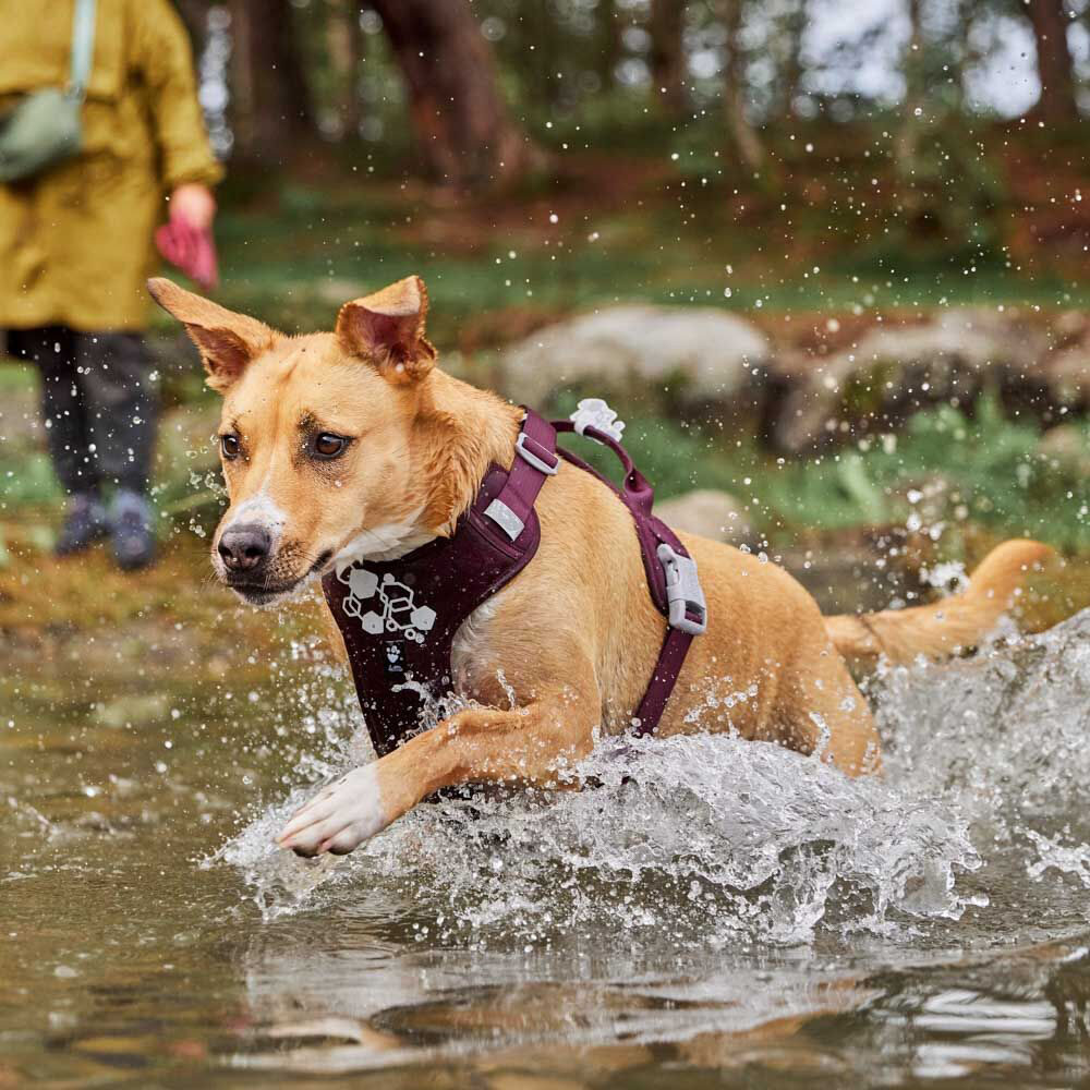 Hurtta Weekend Warrior Eco Harness 2