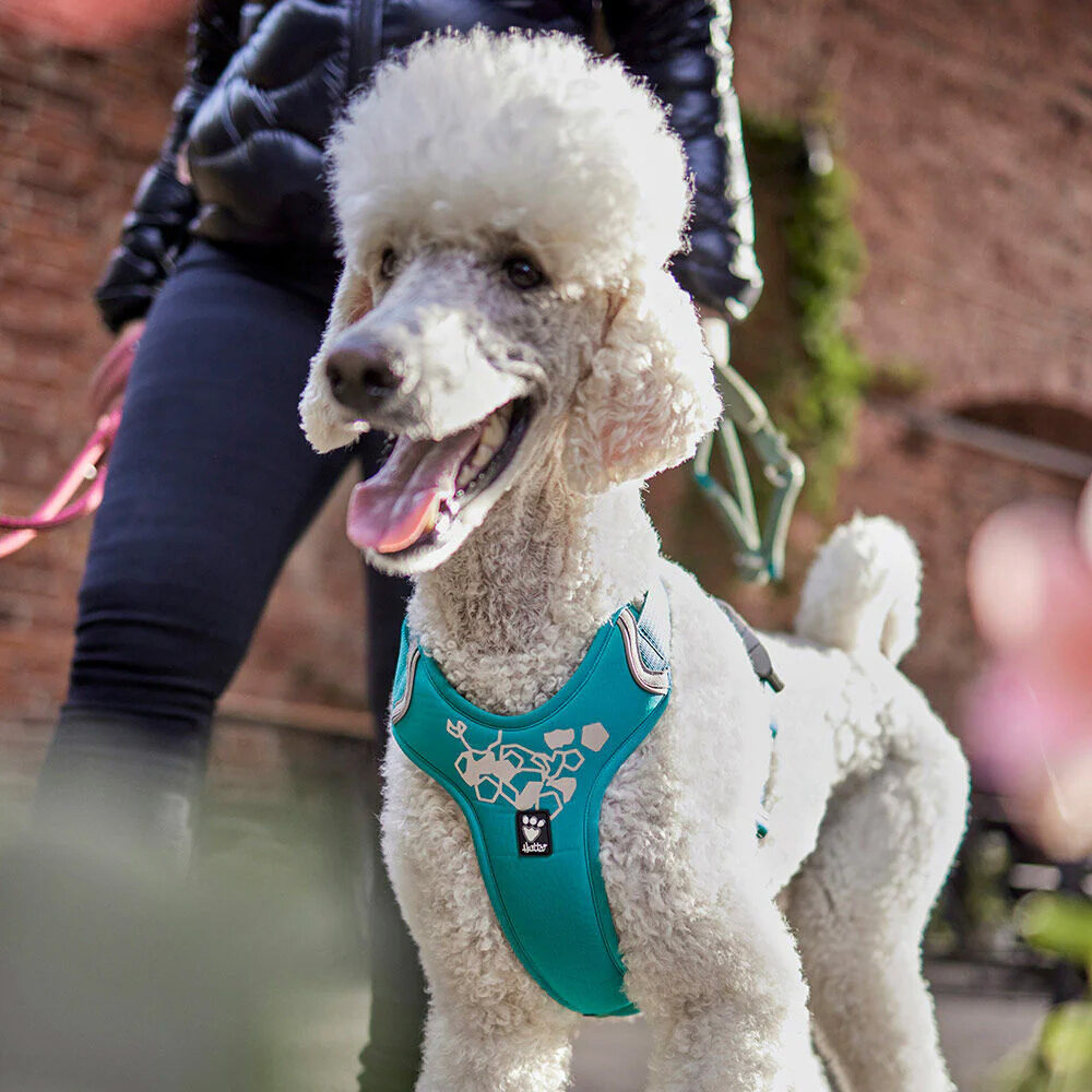 Hurtta Weekend Warrior Eco Harness 2