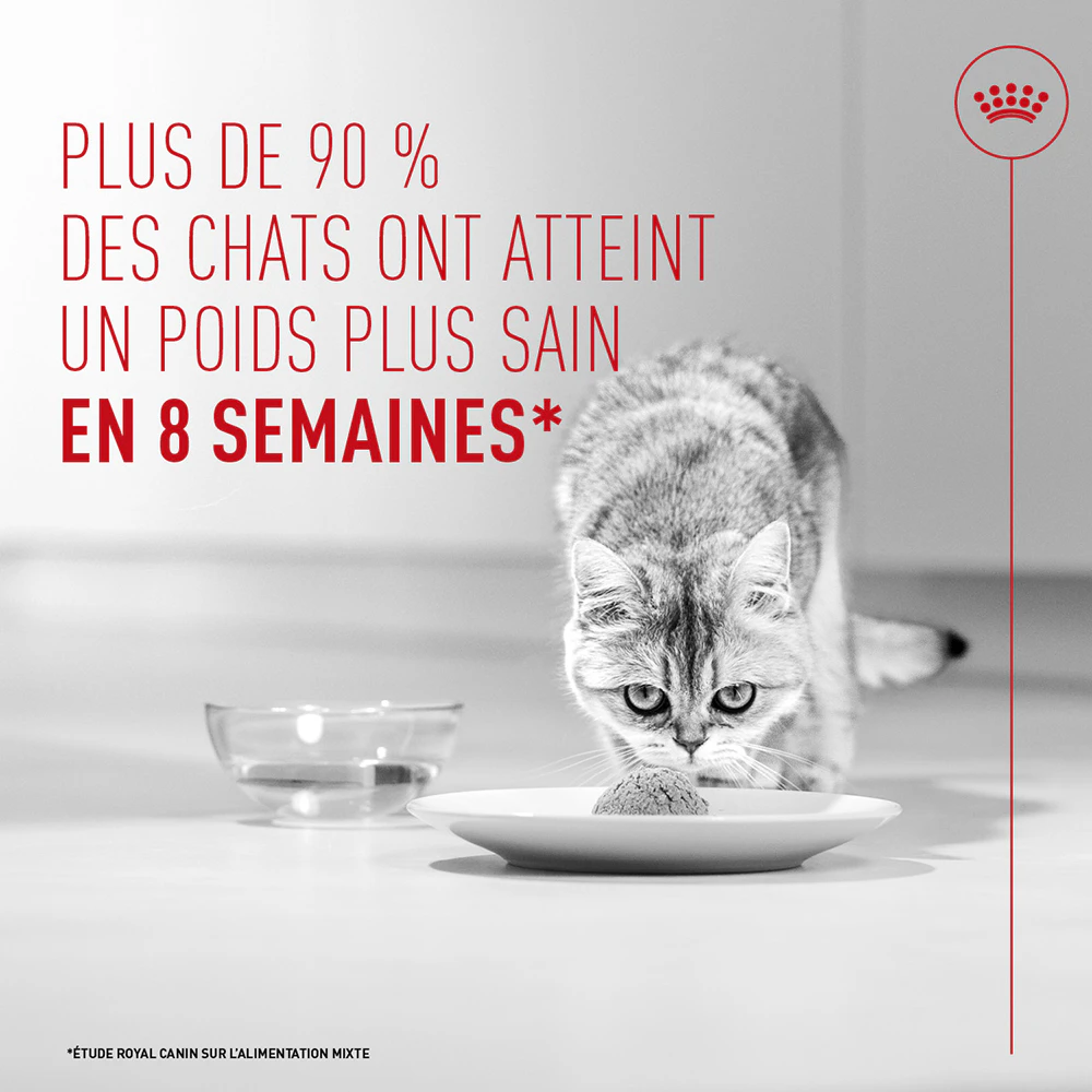 Royal Canin Light Weight Care AirLift Mousse - Nourriture pour chat