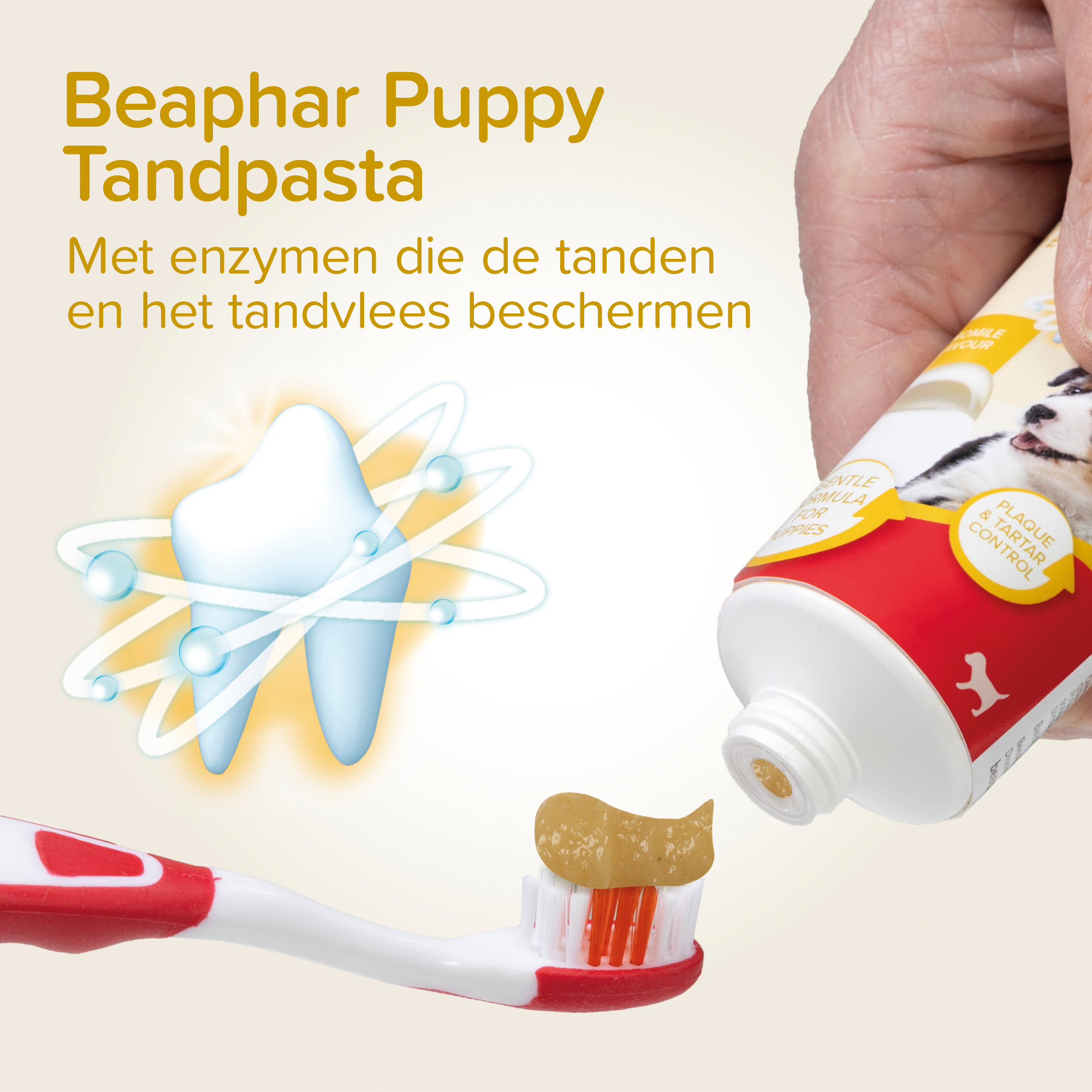 Beaphar Combi-pack Tandpasta & Tandenborstel