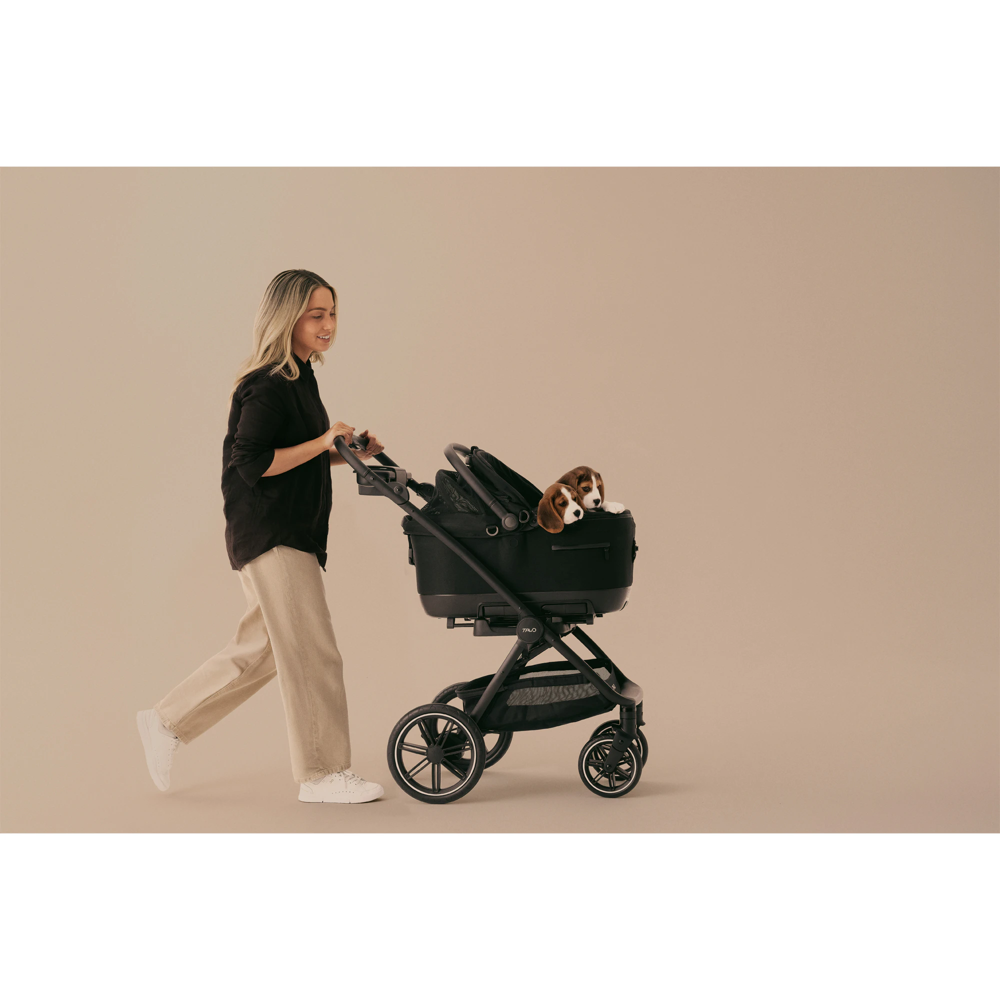 Tavo Pets Roscoe Trek