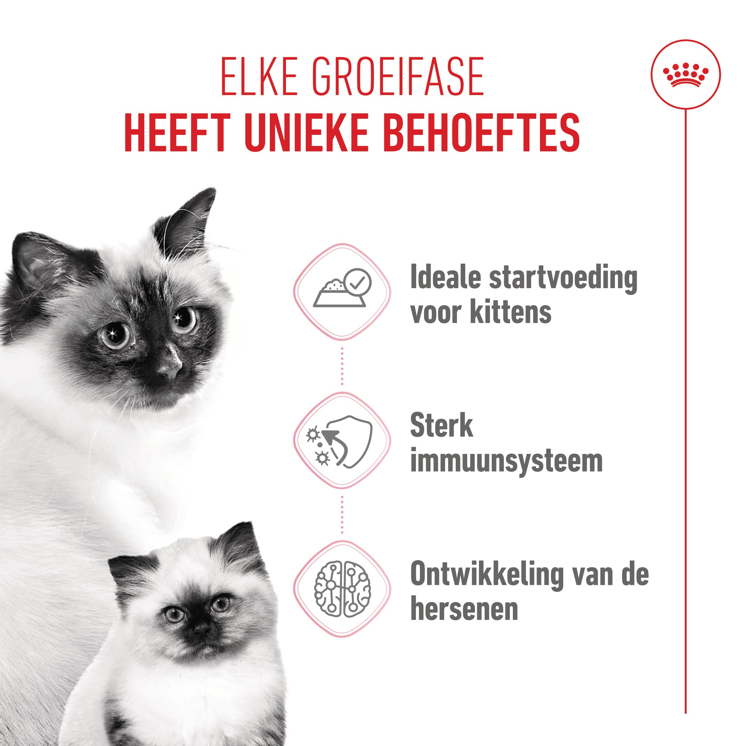 Royal Canin Mother & Babycat Mousse - Kattenvoer