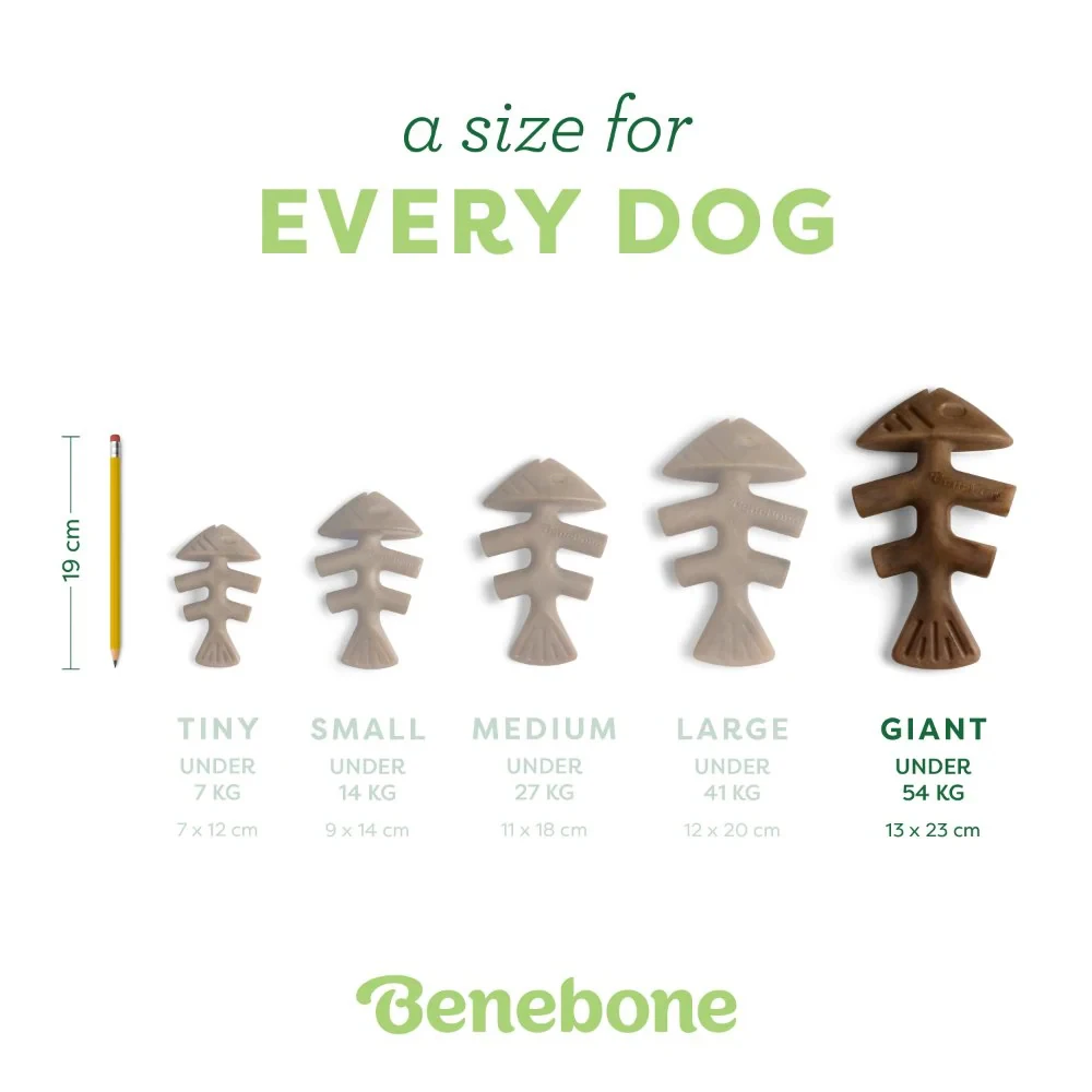 Benebone Fishbone