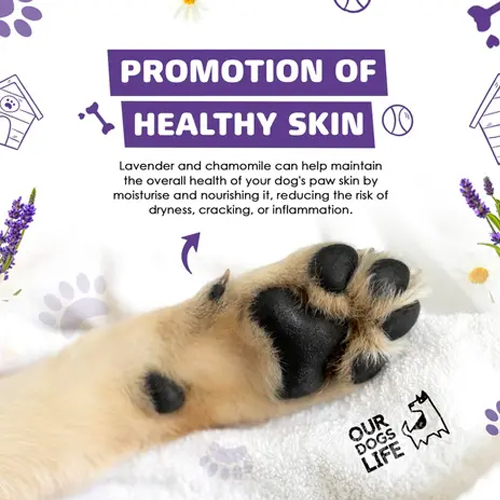 DogsLife Paw Cleaner