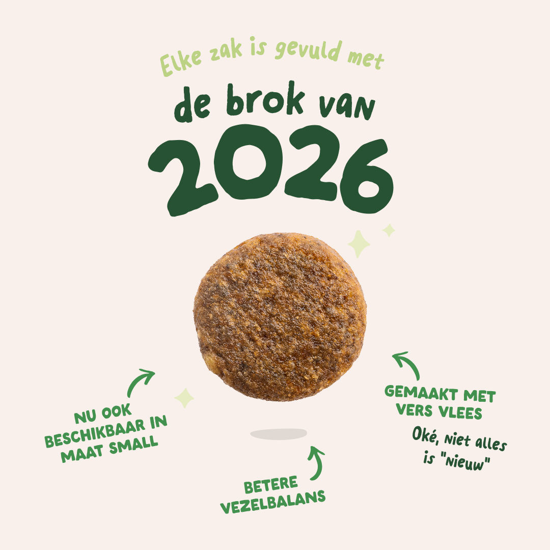 Edgard & Cooper Adult - Lam