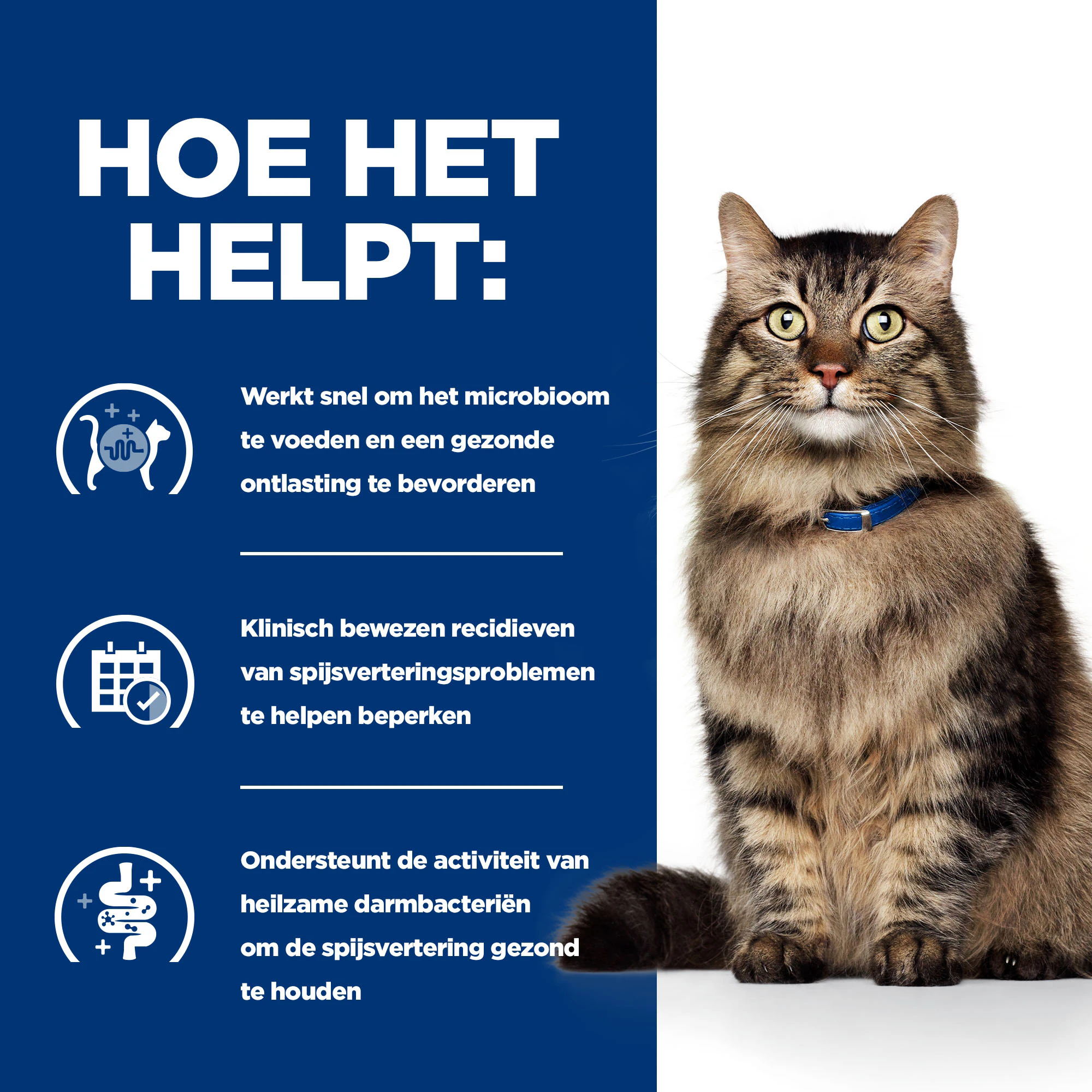 Hill's Prescription Diet - Gastrointestinal Biome - Feline - Natvoer