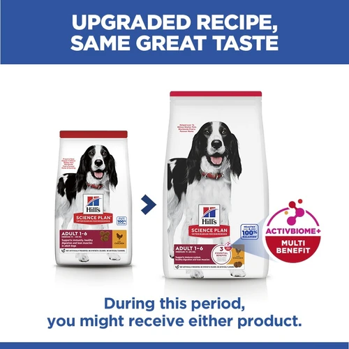 Hill's Science Plan - Medium - Adult - Chicken