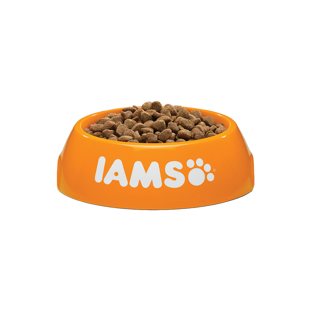 IAMS for Vitality Adult Hairball