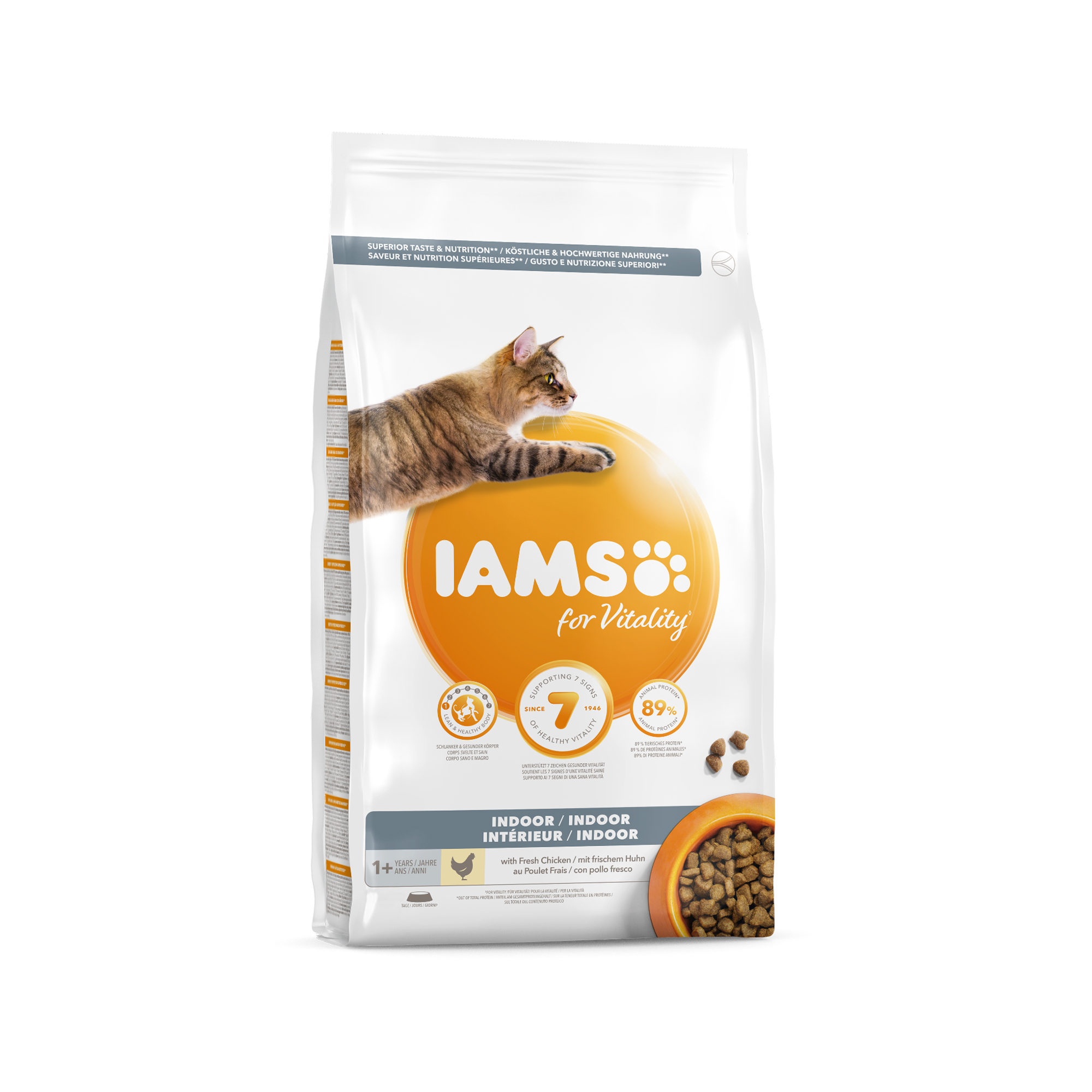 IAMS Adult Indoor