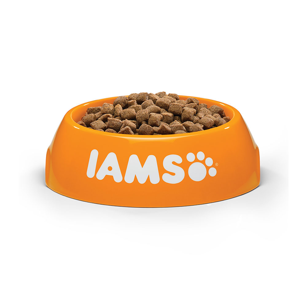 Iams dental best sale