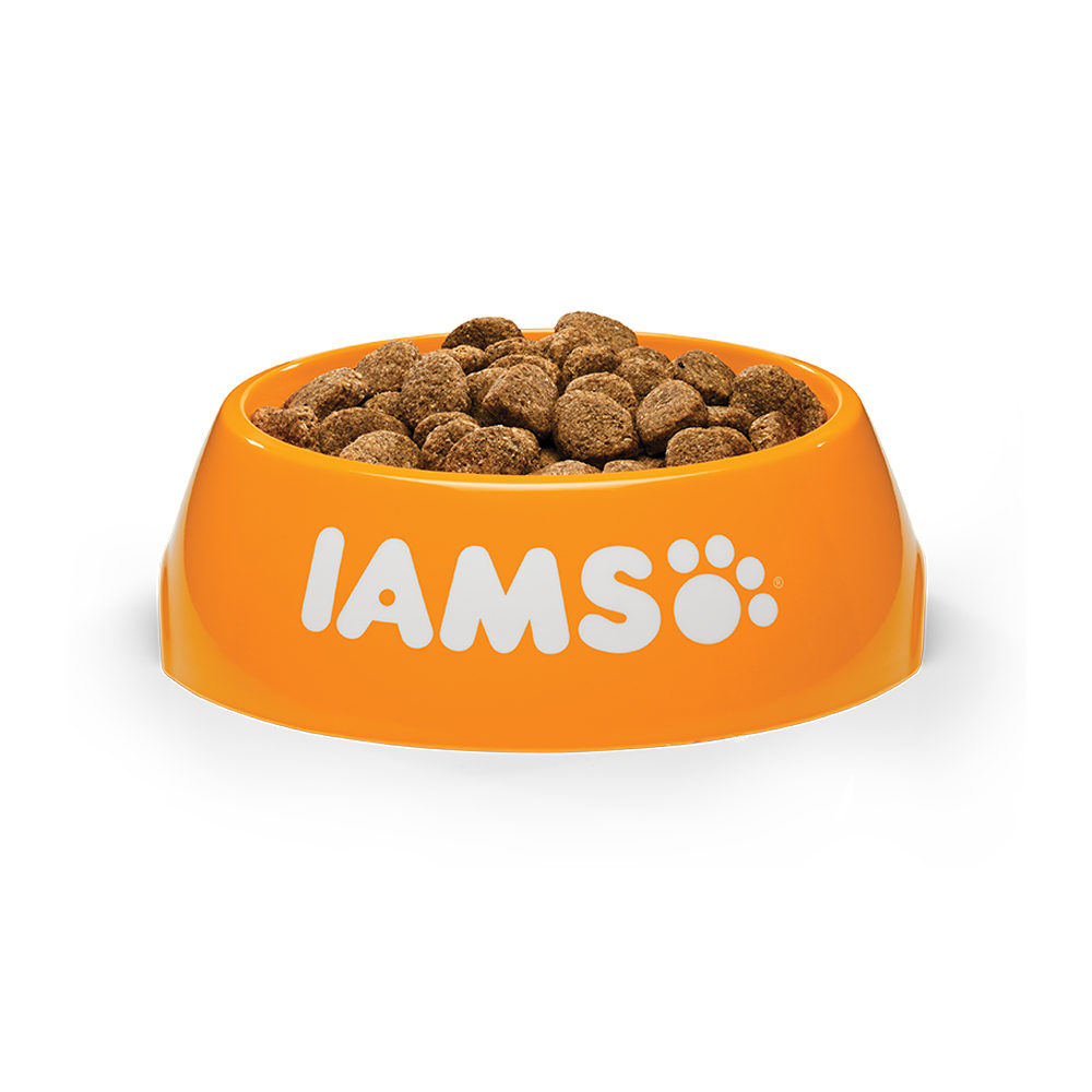 IAMS For Vitality Senior Dog Large Breed