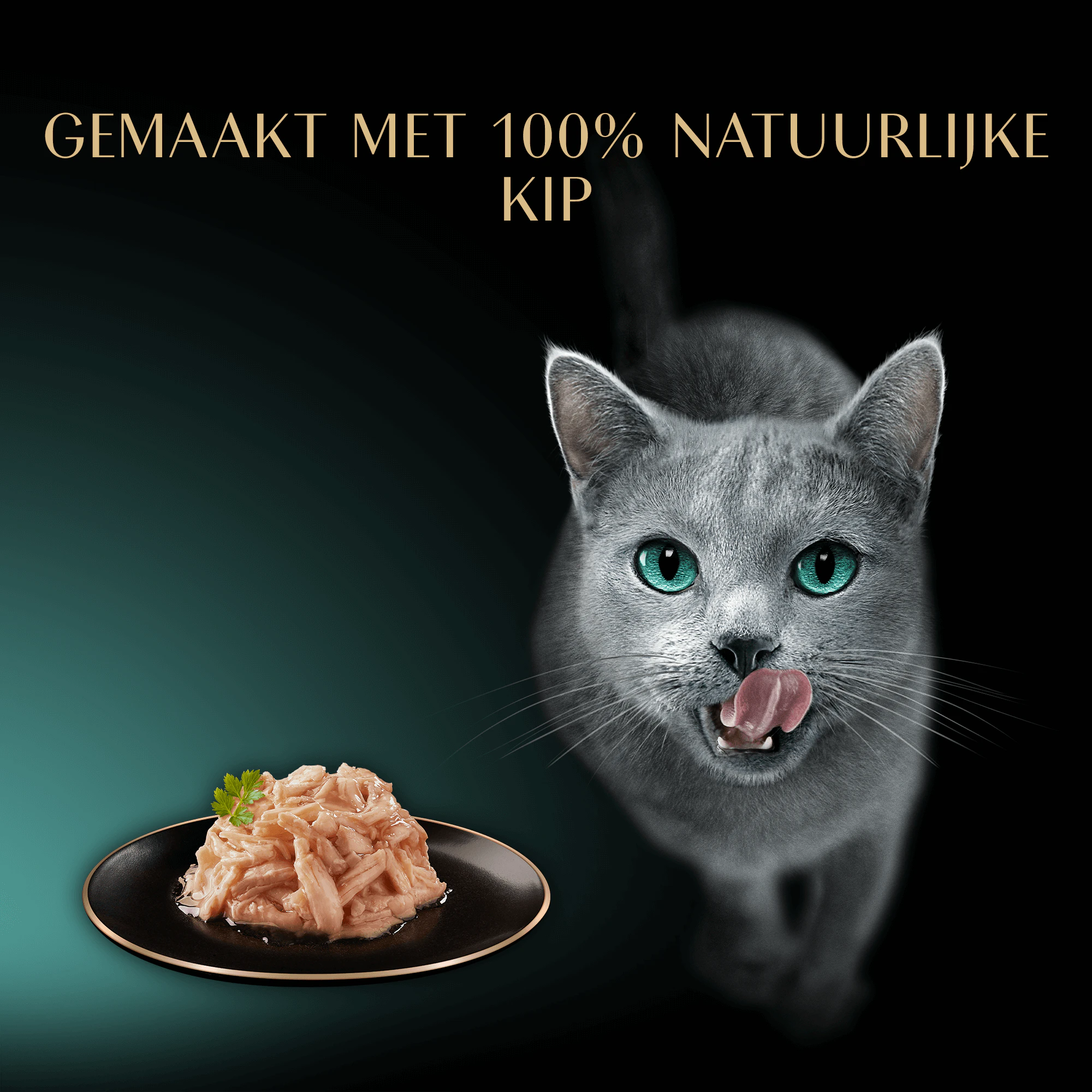 Sheba Filets - Kip met Tonijn in Saus