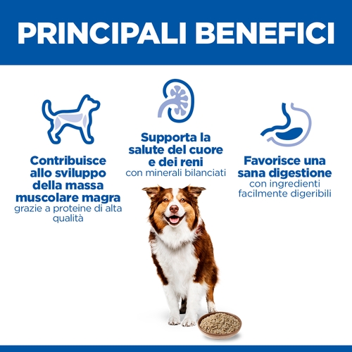 Hill's Science Plan Medium - Mature Adult 7+ - Manzo - Lattina