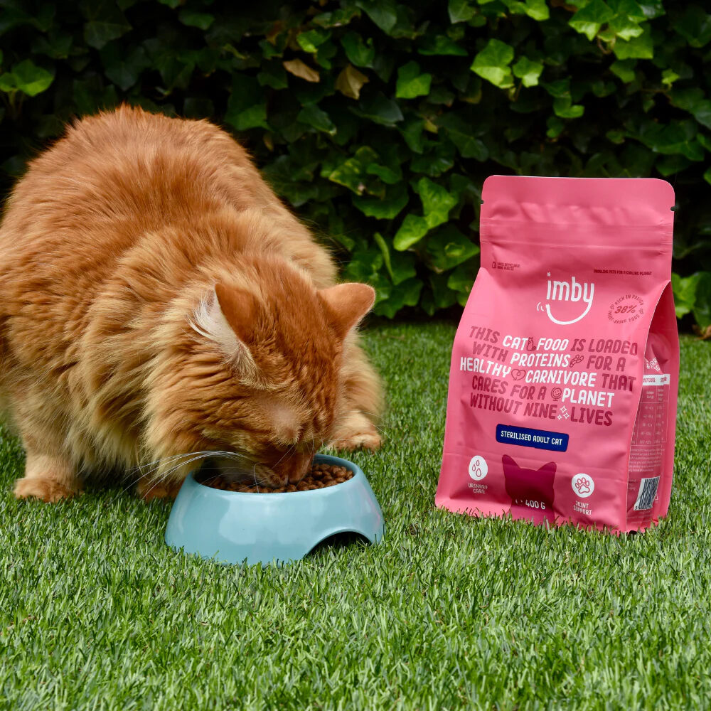 Imby Insect-based Katzenfutter