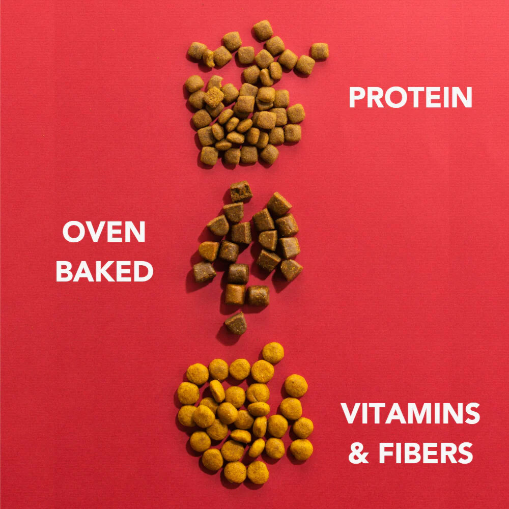 Imby Insect-based Puppy