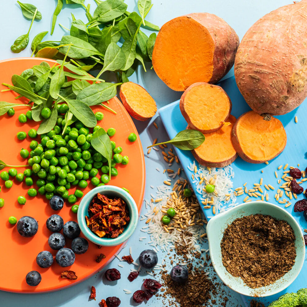 Imby Insect-based Senior