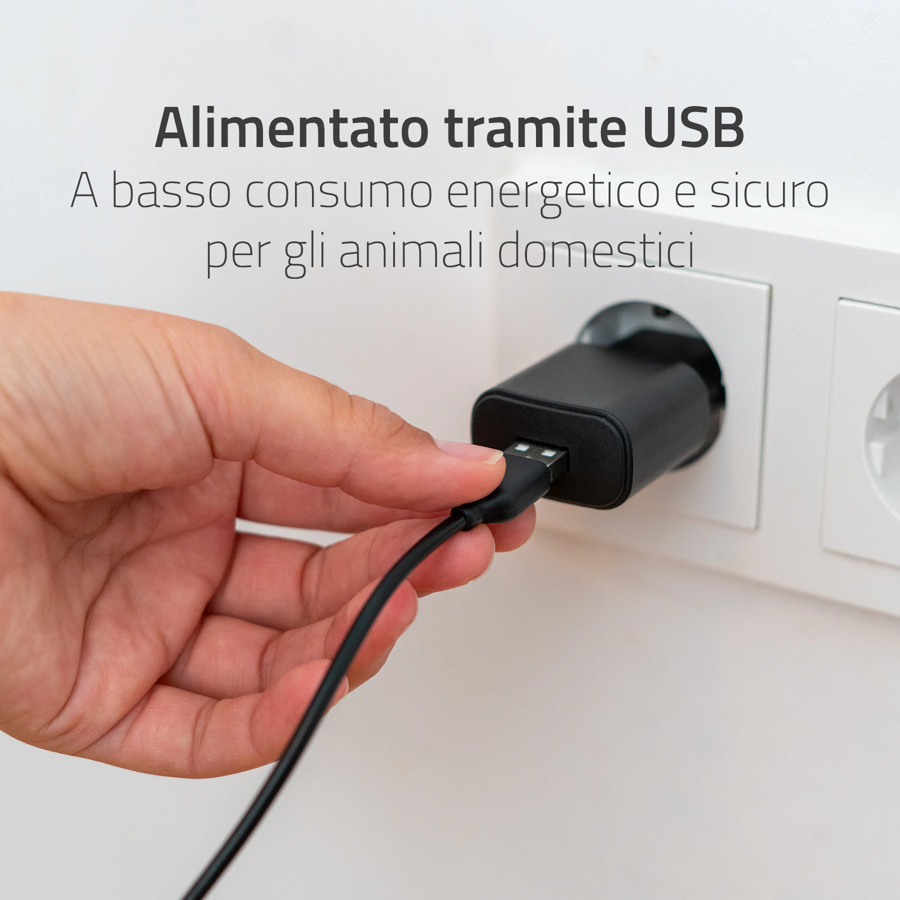 Hombli Smart Fontana per Bere