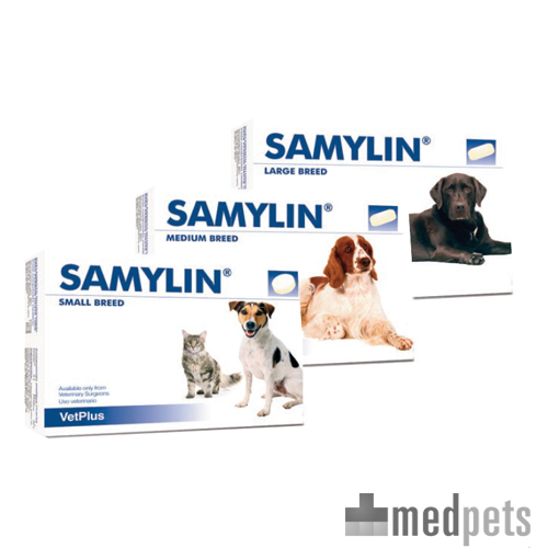 Samylin medium deals dog