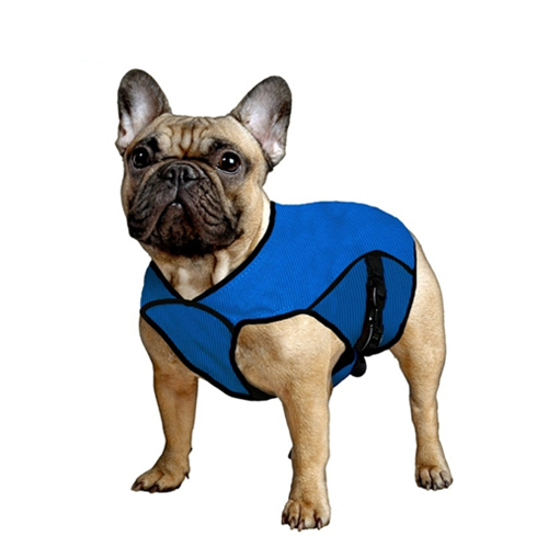Aqua Coolkeeper Jacket - Pacific Blue - L