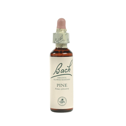 Bach Walnut (Walnoot) - 20 ml