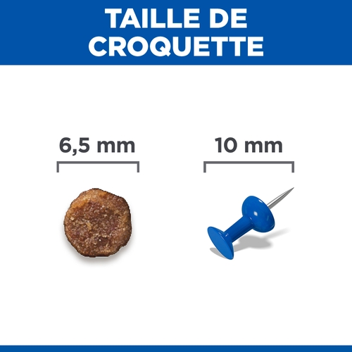Hill's Science Plan Small & Mini - Chiot - Agneau & Riz