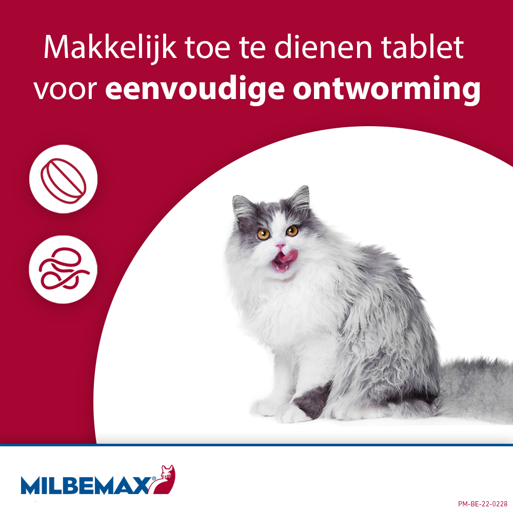 Milbemax Kat
