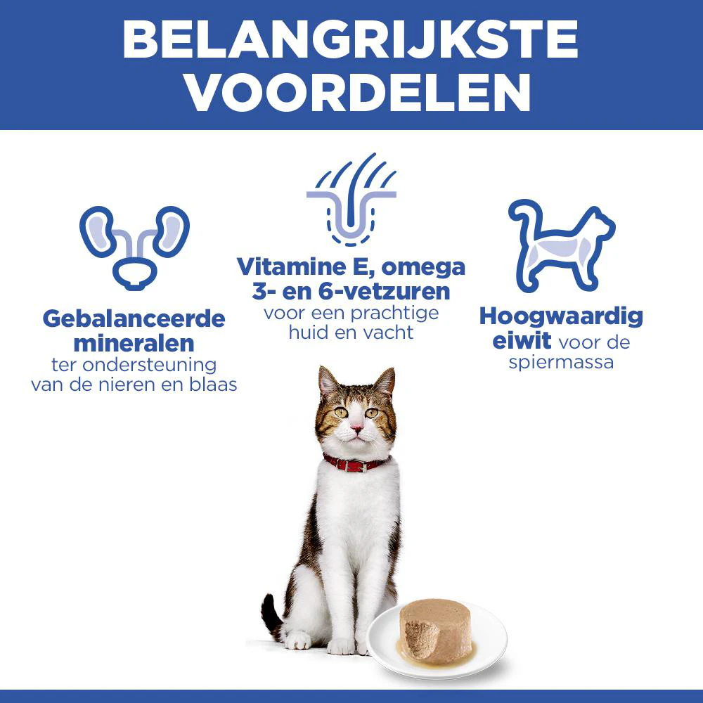 Hill's Science Plan Feline Mature Adult Premium Mousse - Kip