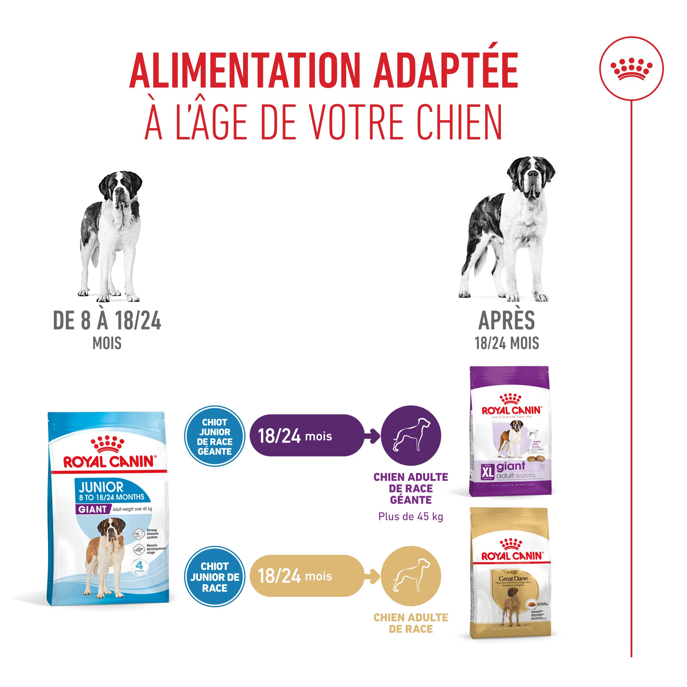 Royal Canin Giant Junior