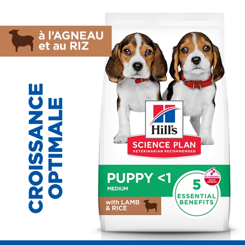 Hill's Science Plan - Puppy - Medium - Agneau & Riz