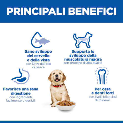 Hill's Science Plan - Large Breed - Puppy - Pollo