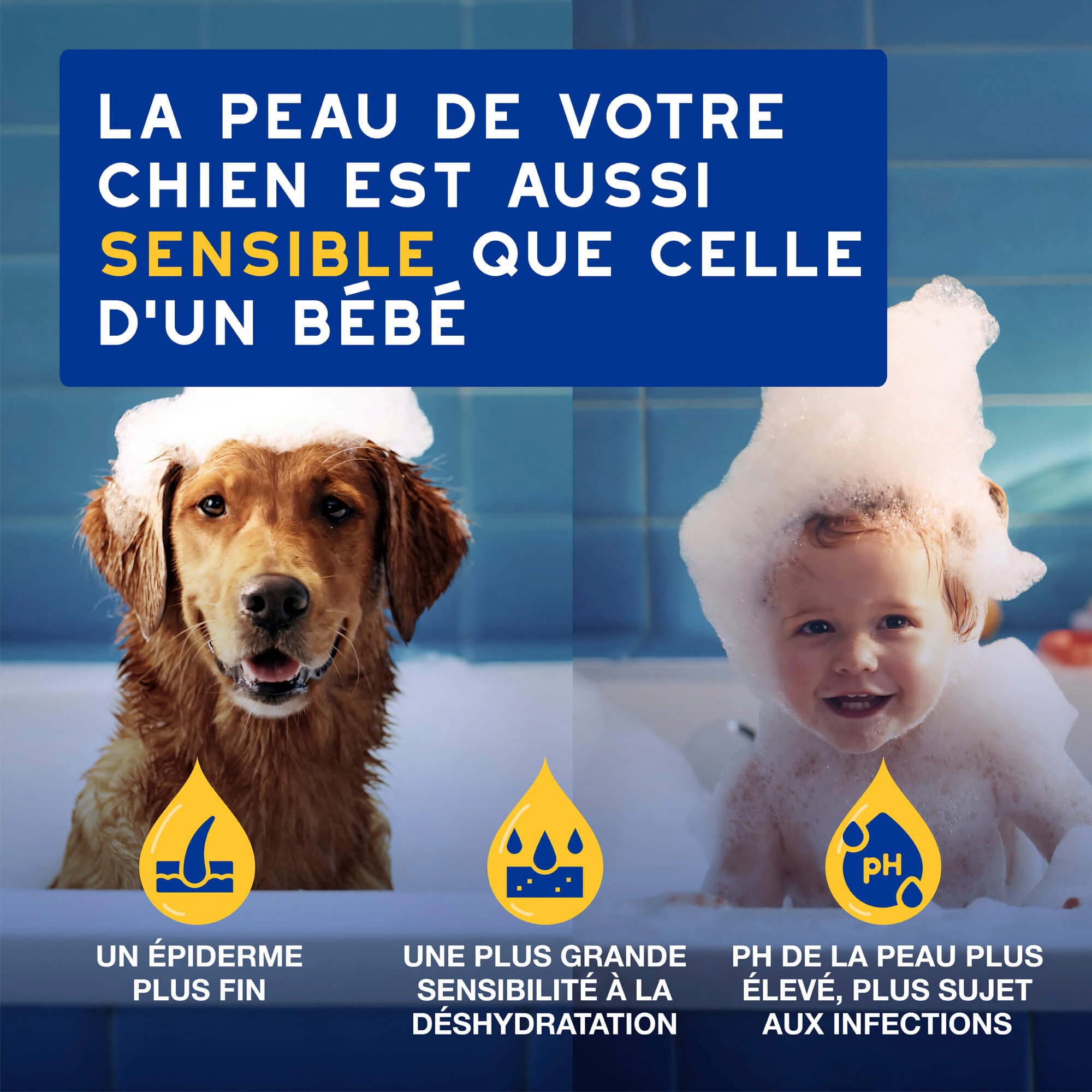 Douxo Spa Shampooing Hydratant