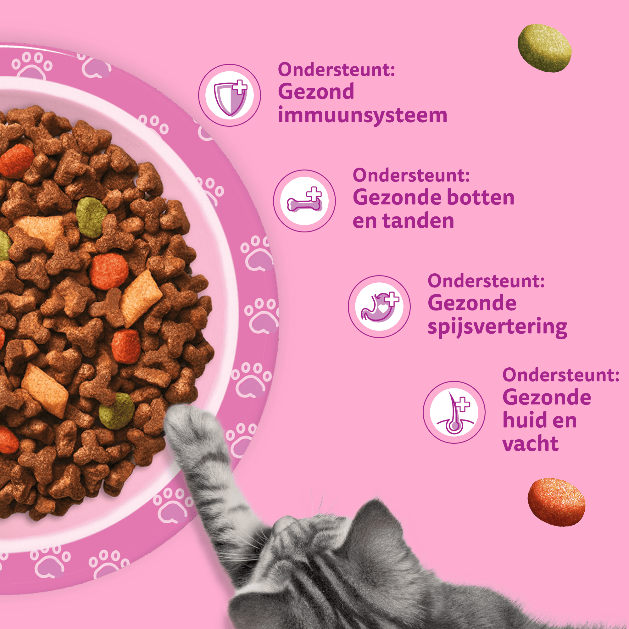 Whiskas Junior Kattenbrokken