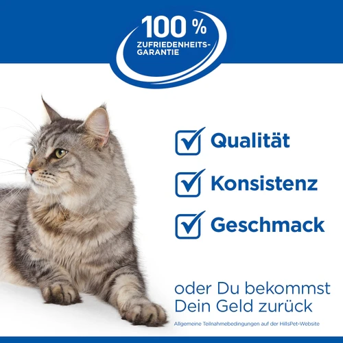 Hill's Science Plan - Kitten - Lachs