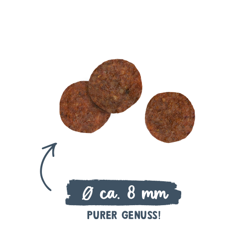 Sanabelle Adult - Truite