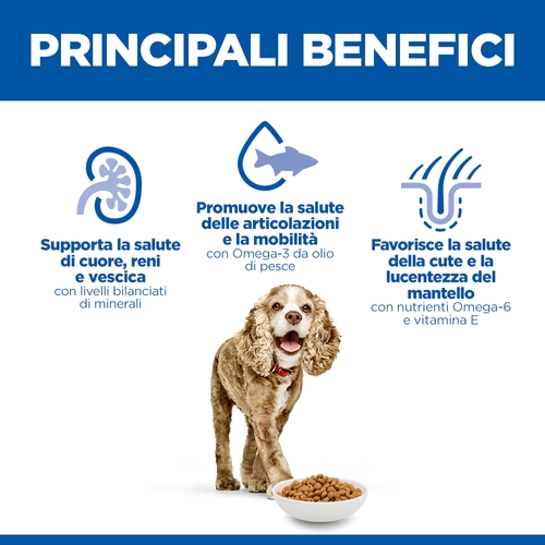 Hill's Science Plan Small & Mini - Senior 11+ - Pollo