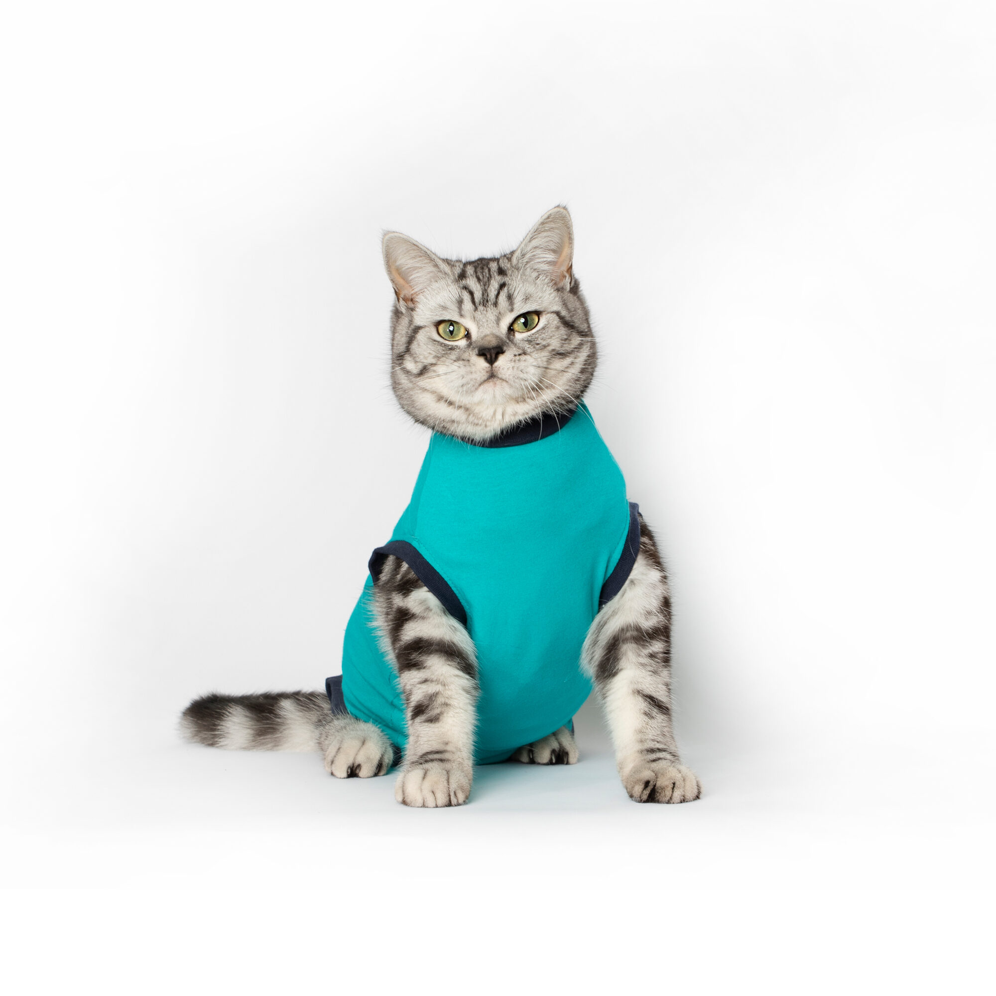 Jacketz Medical Body Suit Kat Bestellen Medpets.be