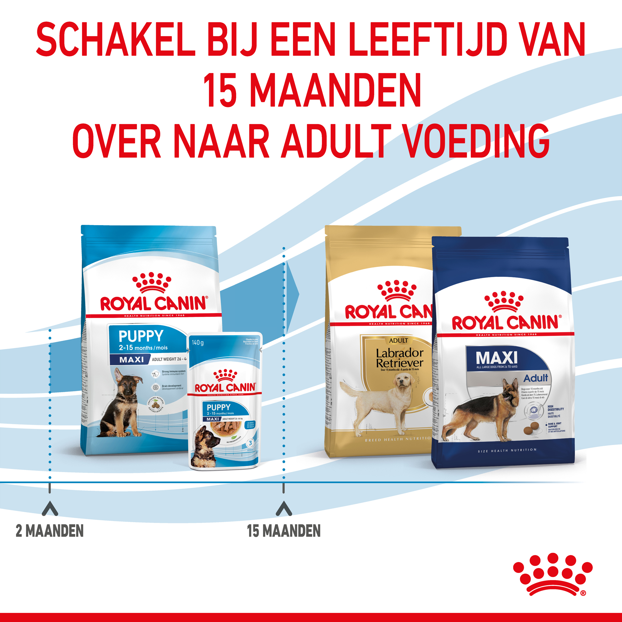 Royal Canin Maxi Puppy - Hondenvoer