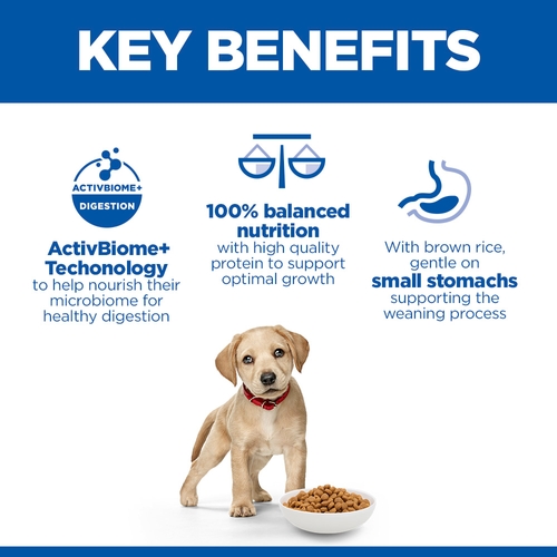 Hill's Science Plan Perfect Digestion Large Puppy Food