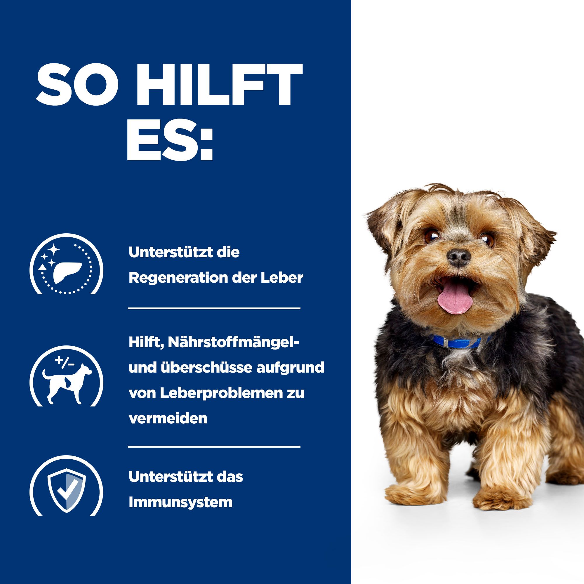 Hill's l/d Liver Care - Prescription Diet - Canine