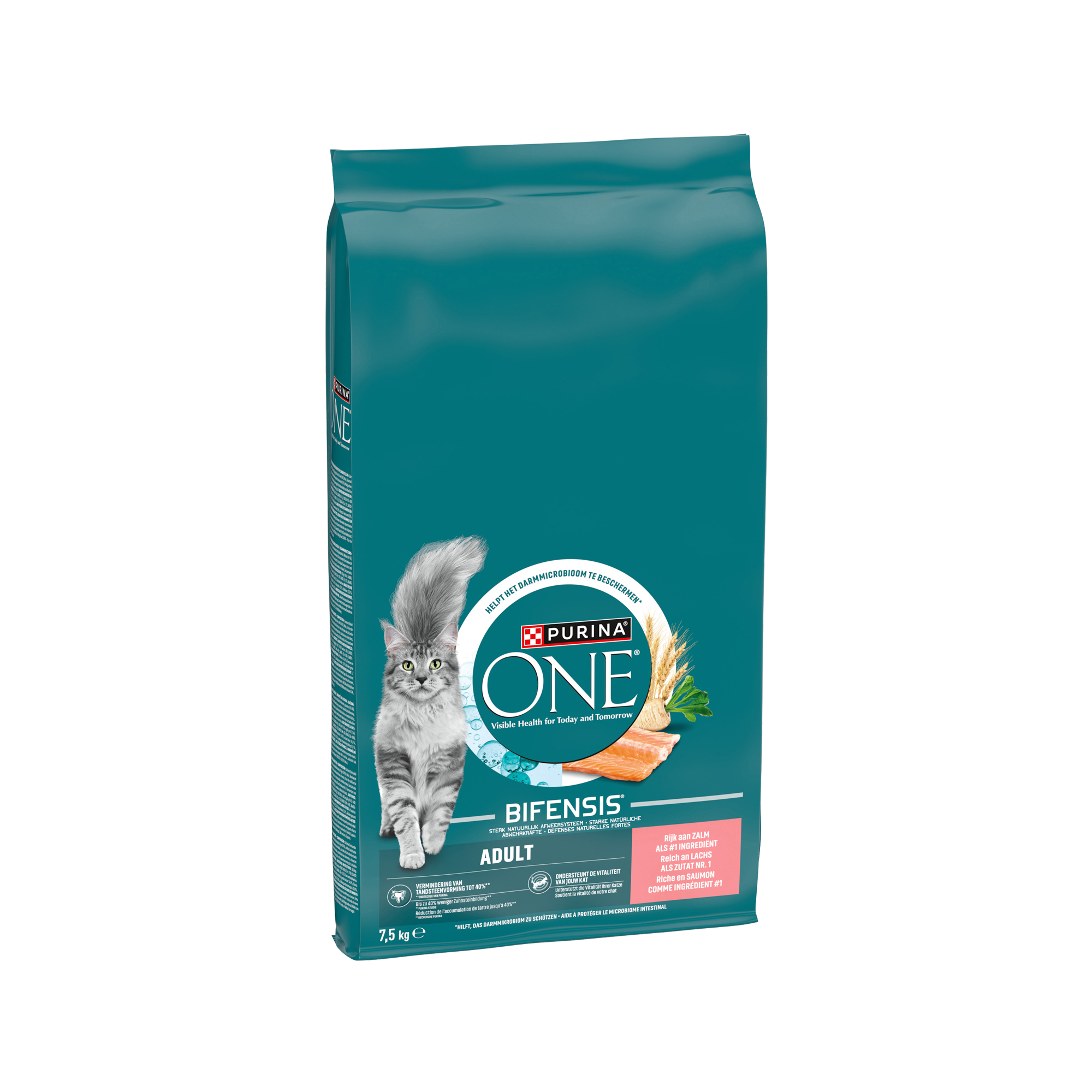 Purina ONE Adult