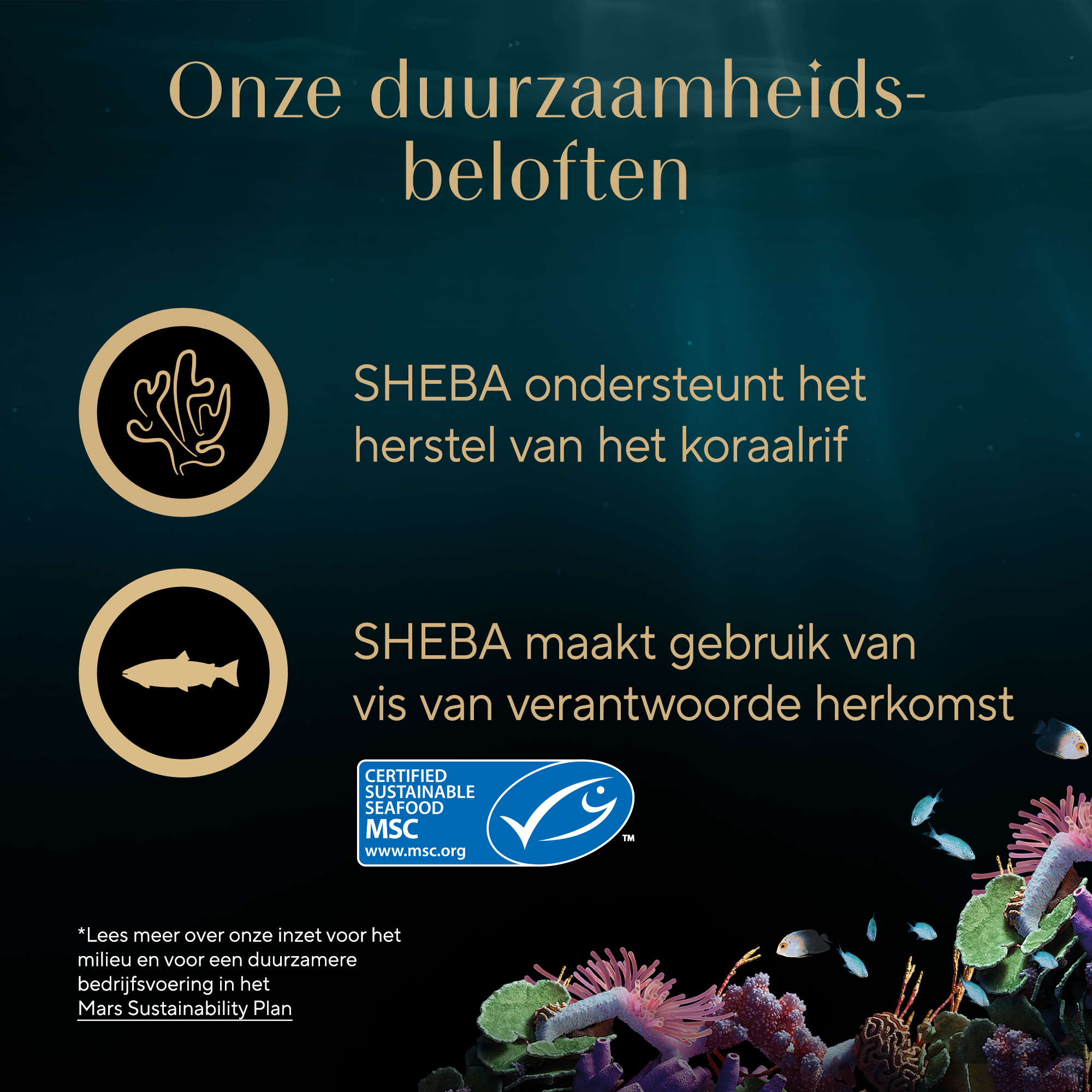 Sheba Soup 4x40 g - Kattenvoer - Tonijn - Noorse Boskat - Pets Place