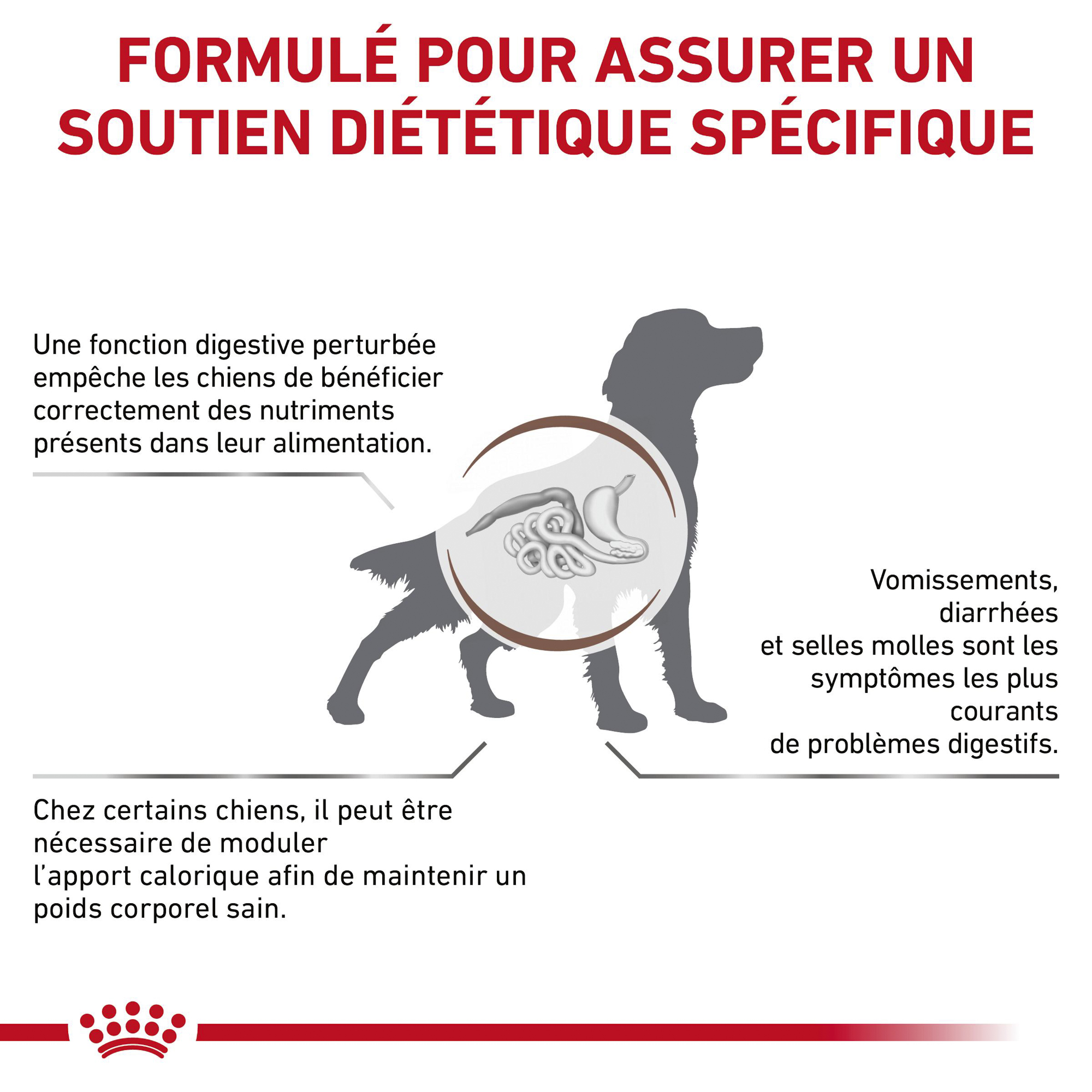 Royal Canin Gastro Intestinal Moderate Calorie - Chien